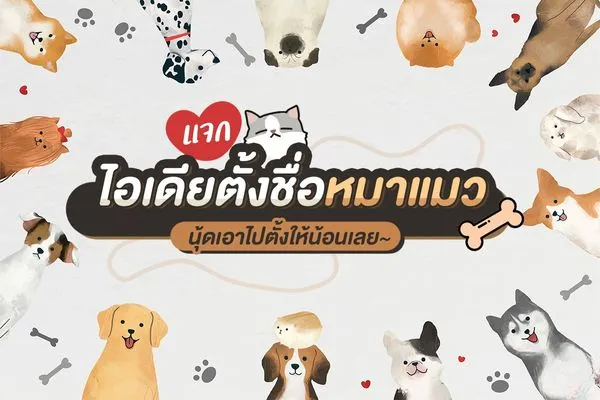 ไอเดียตั้งชื่อ