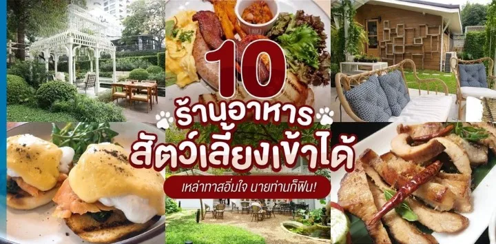 ร้านอาหาร สัตว์เลี้ยง