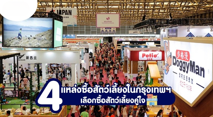 ซื้อขาย สัตว์เลี้ยง