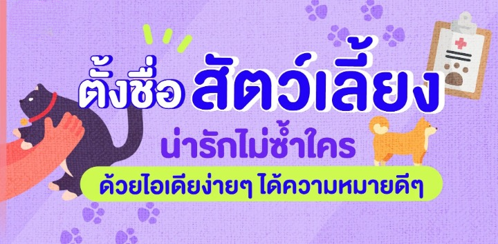 ตั้งชื่อ สัตว์เลี้ยง