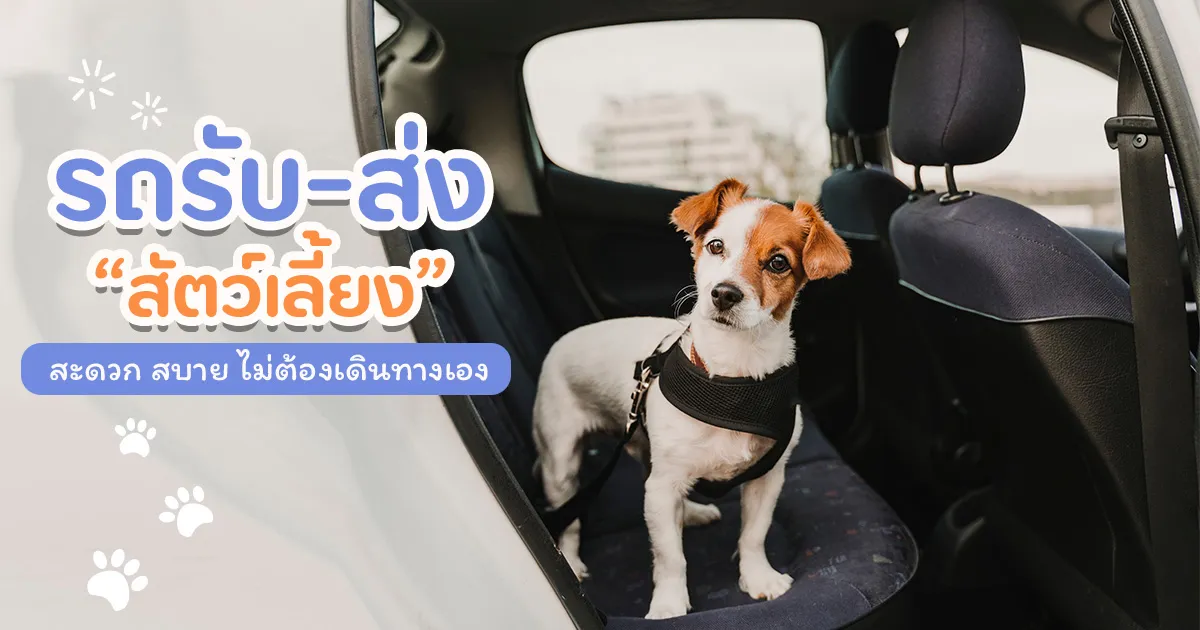ขนส่ง สัตว์เลี้ยง