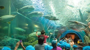 พิพิธภัณฑ์ สัตว์ น้ํา ระยอง