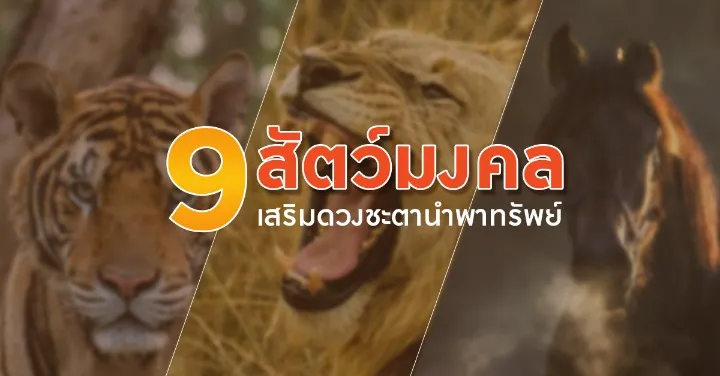 สัตว์ มงคล